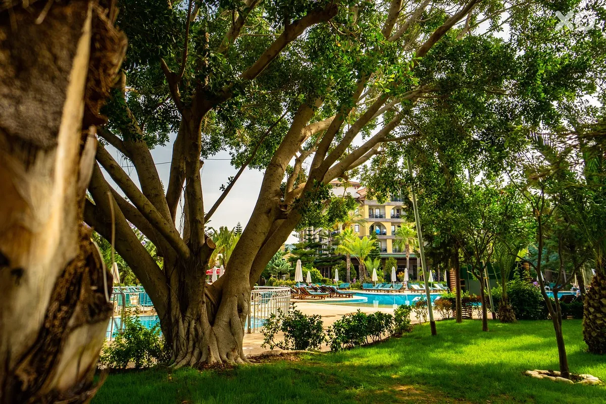 Euphoria Barbaross Beach Resort