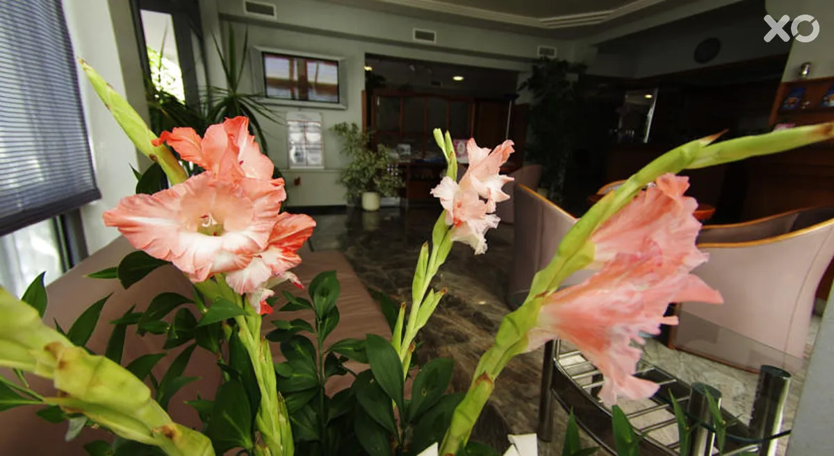 Villa Marija Hotel
