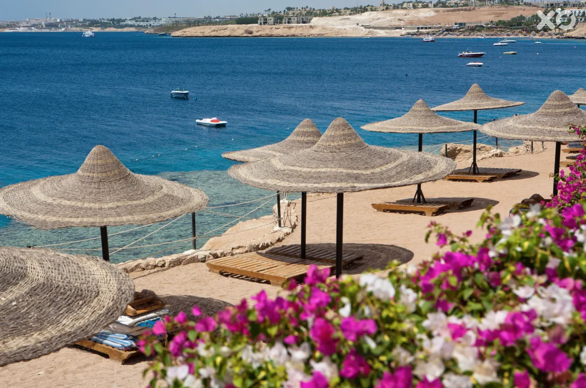 Siva Sharm Resort & Spa