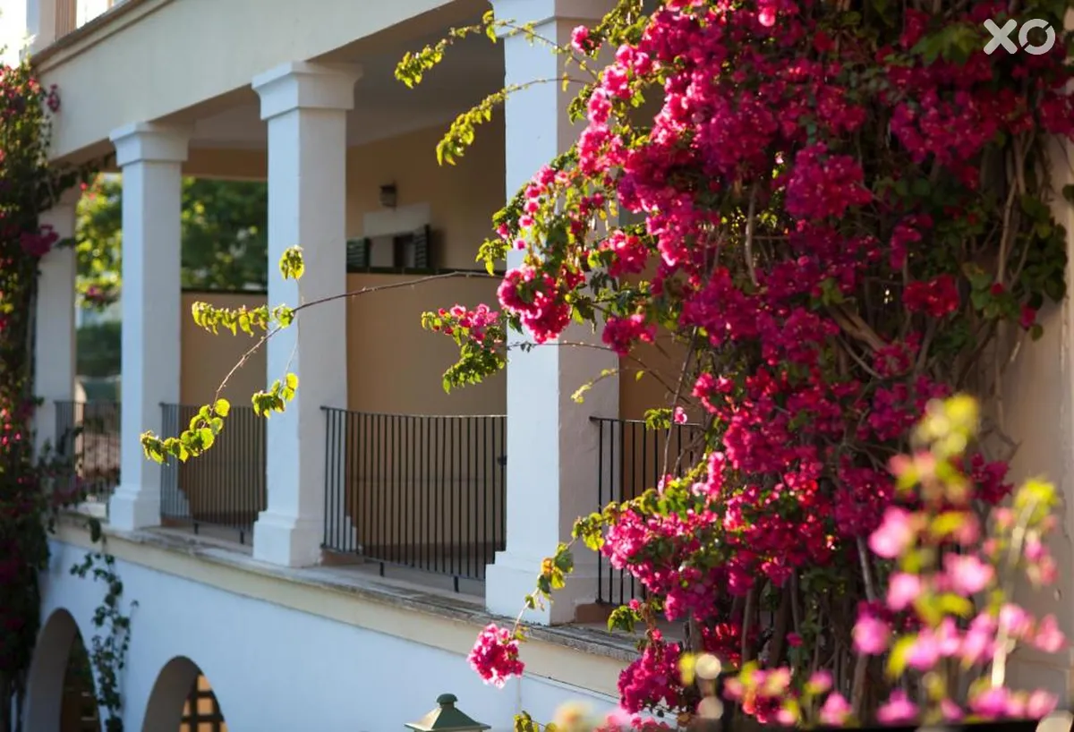 Bahia Hotel