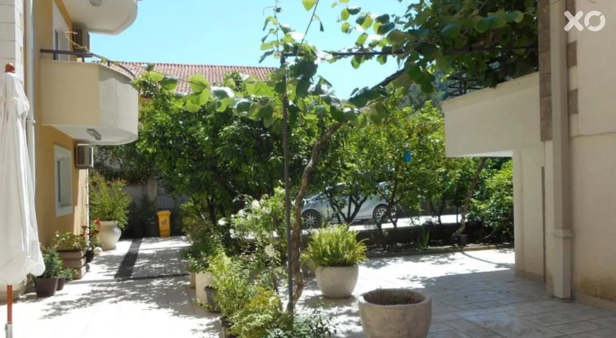 Salus Apartmani