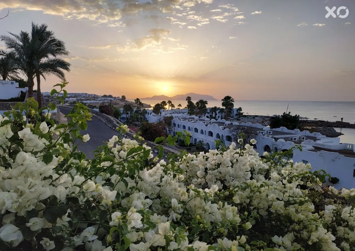 Domina Coral Bay Oasis