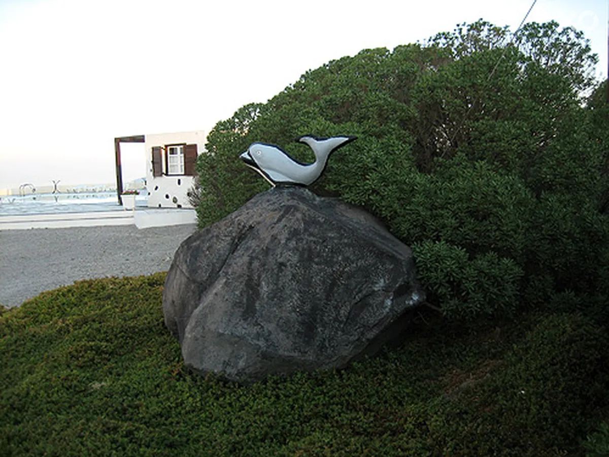 Caldera's Dolphin