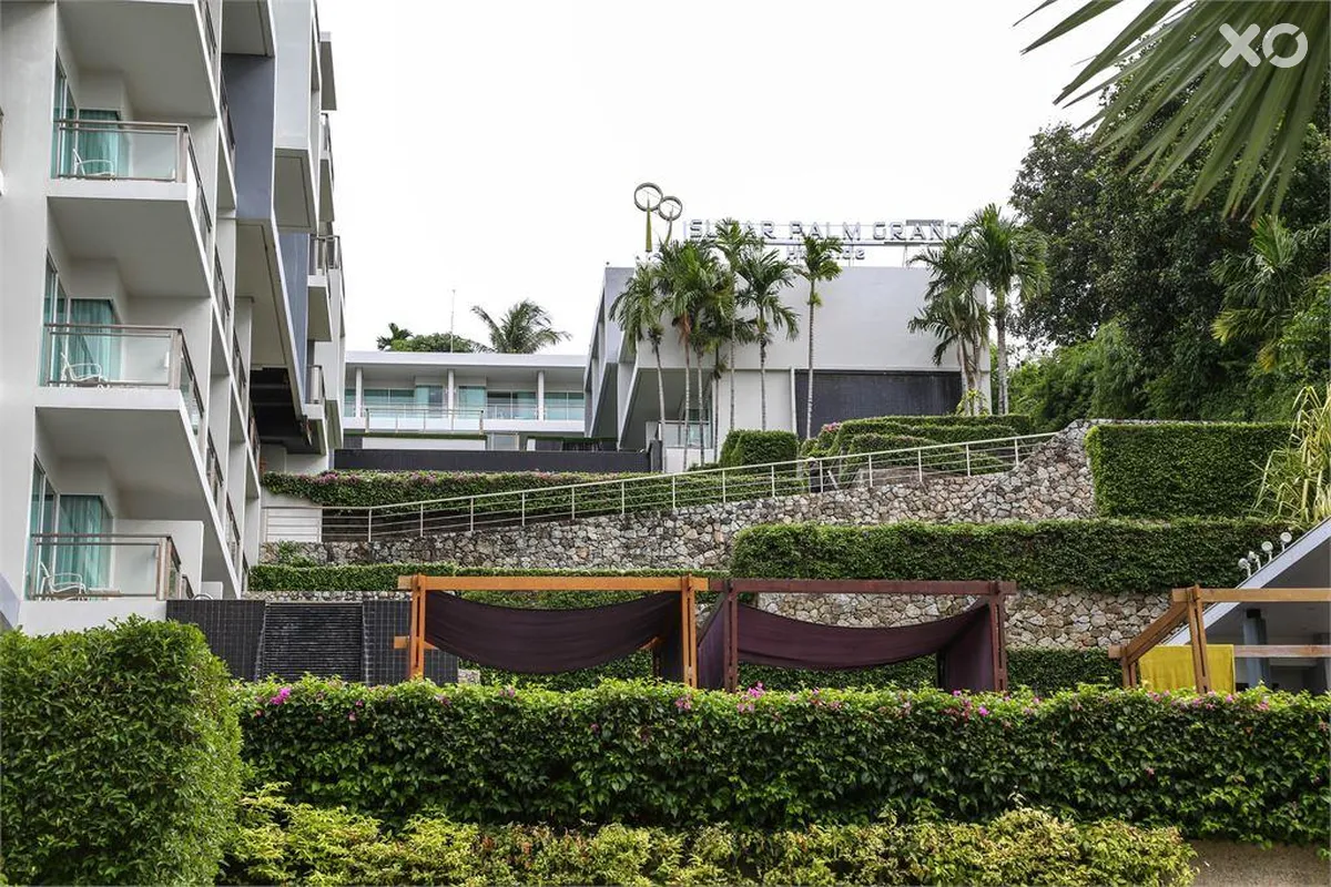 Sugar Palm Grand Hillside