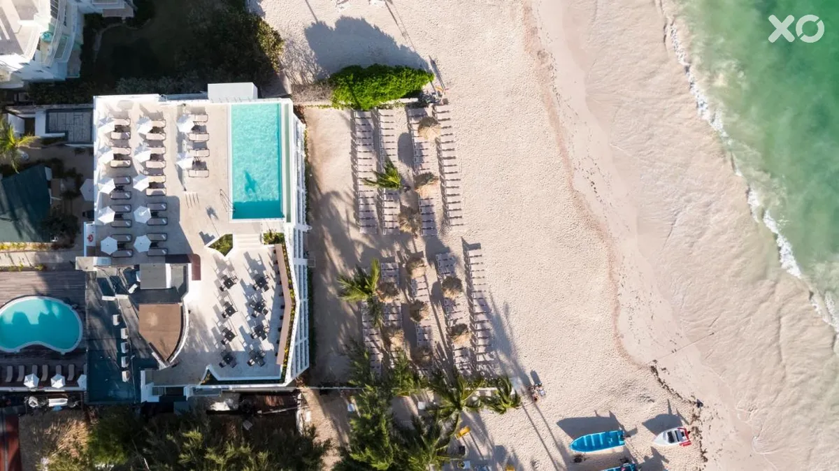 Whala Bavaro