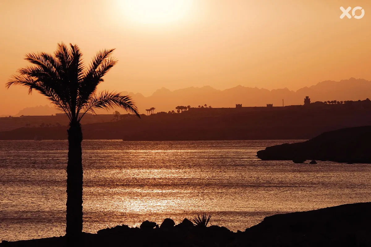 Sharm Plaza Hotel