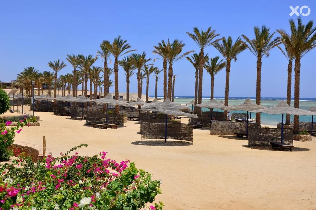 Blend Elphistone Resort Marsa Alam