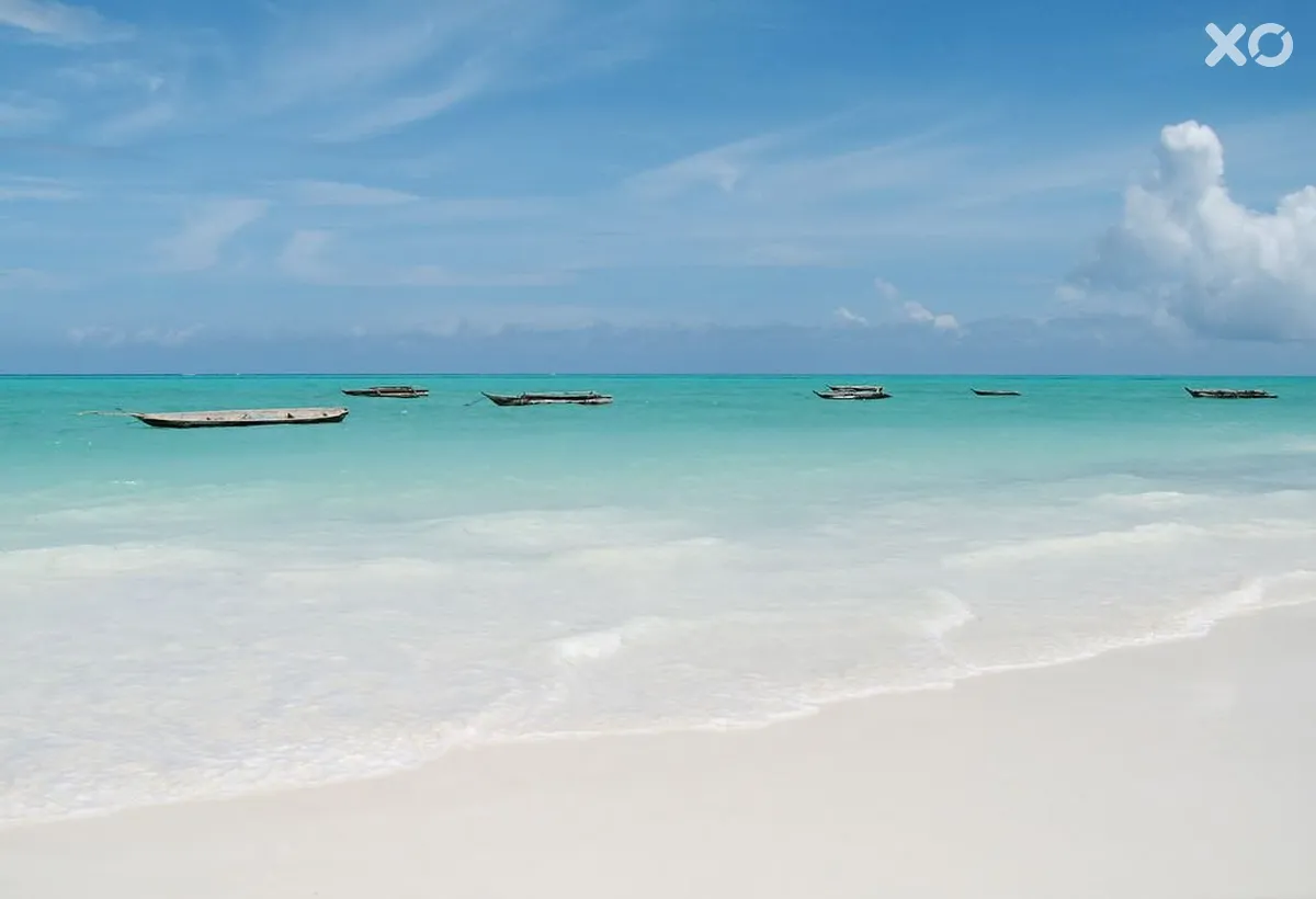 Sahari Zanzibar