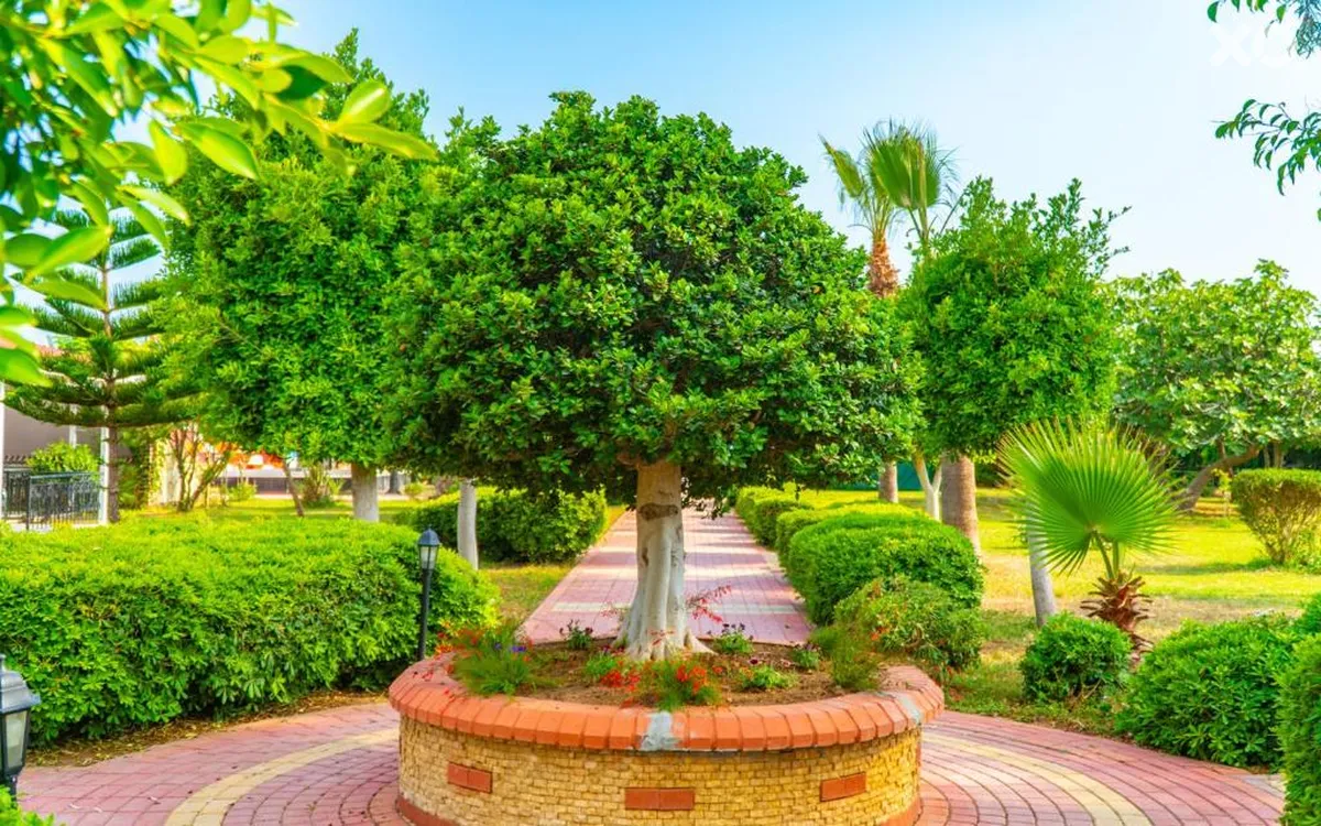 Clover Magic Garden Beach Hotel