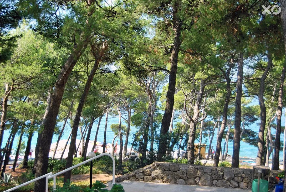 Bluesun Marina