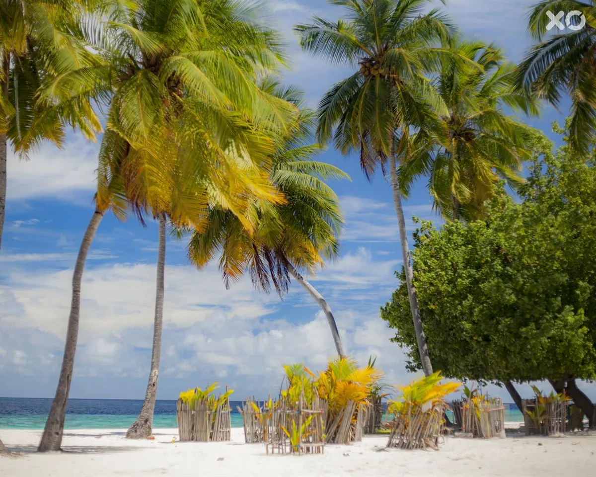 Dhonfulhafi Beach View & Spa