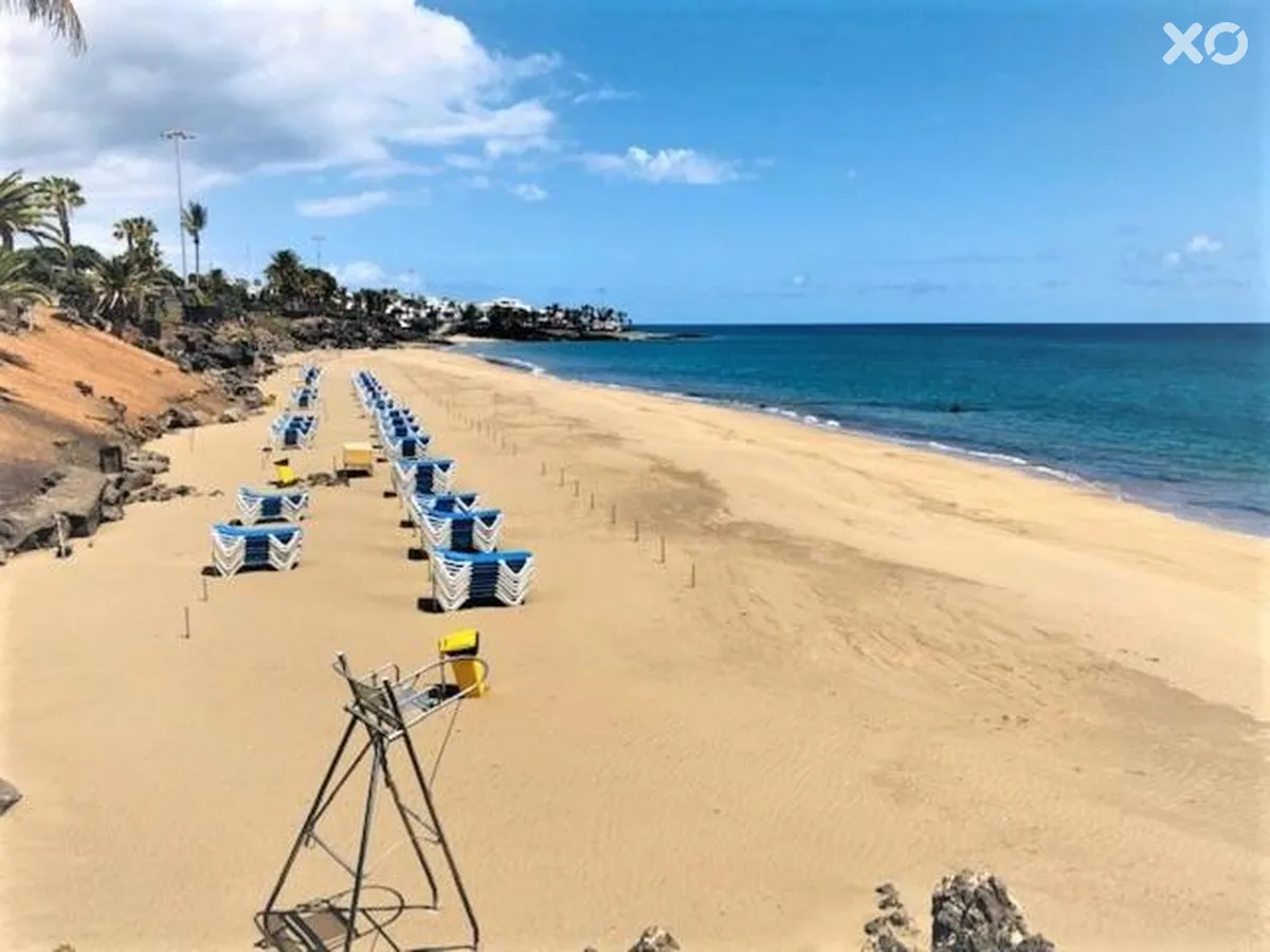 Arena Dorada Apartments