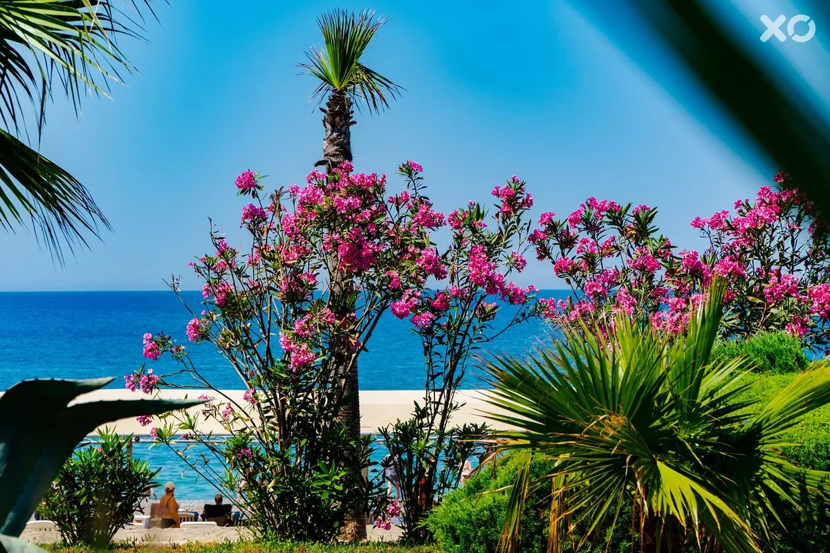 Euphoria Barbaross Beach Resort