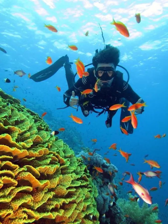 Aida Hotel Sharm El Sheikh