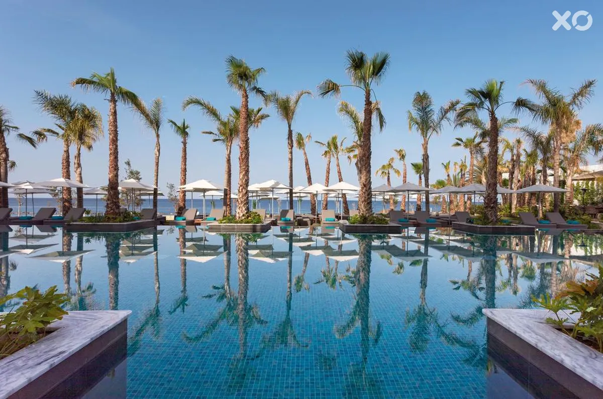 Amavi Hotel