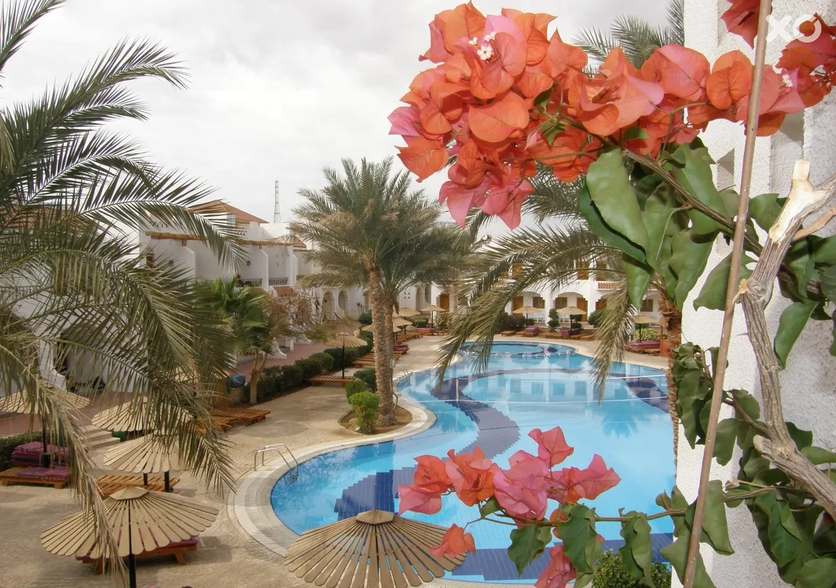Dive Inn Resort