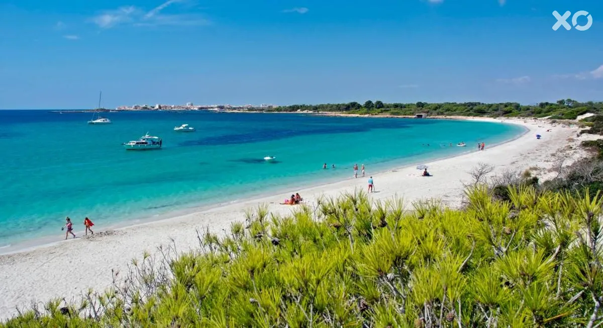 Isla de Cabrera Aparthotel