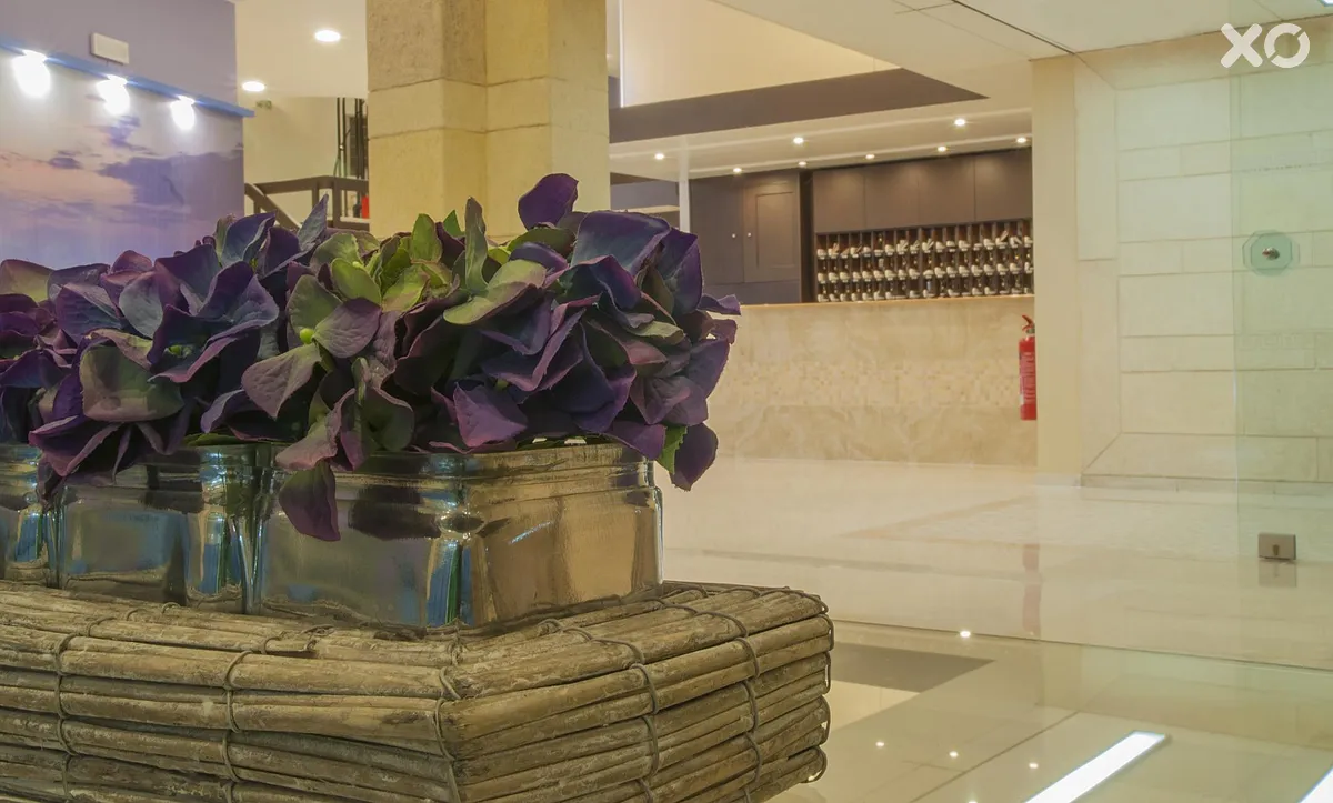 Europa Hotel