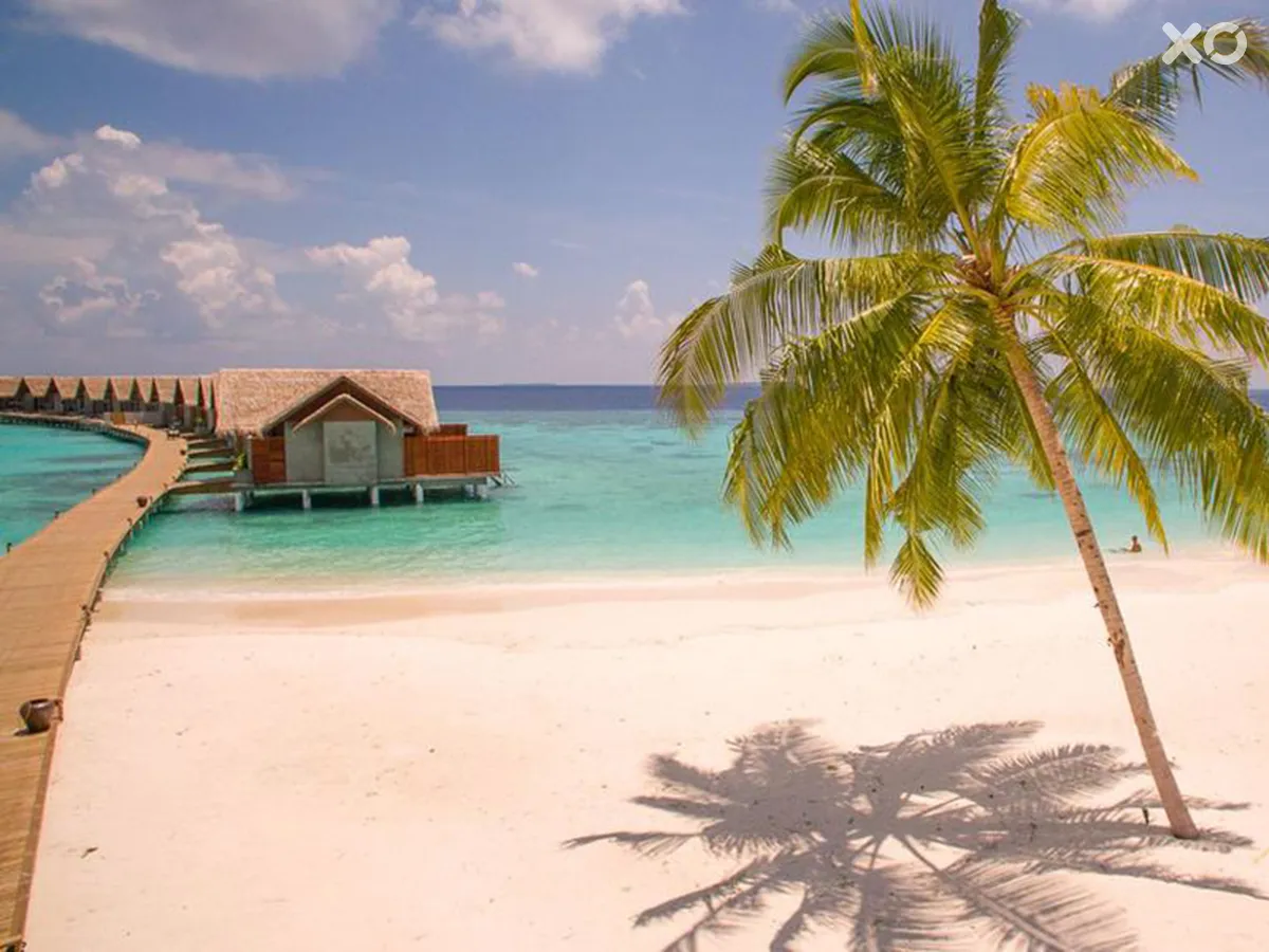 Furaveri Island Resort & Spa