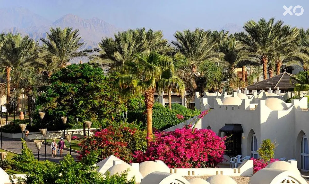 Reef Oasis Beach Resort