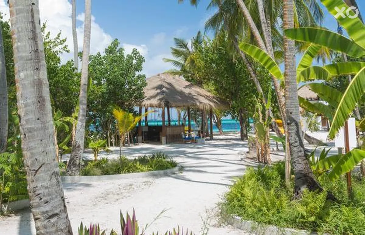 Malahini Kuda Bandos
