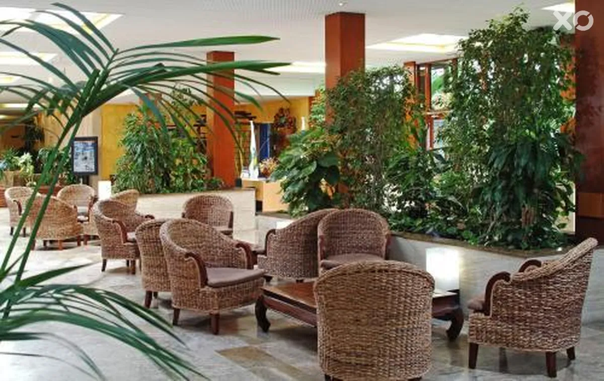 Alua Miami Ibiza