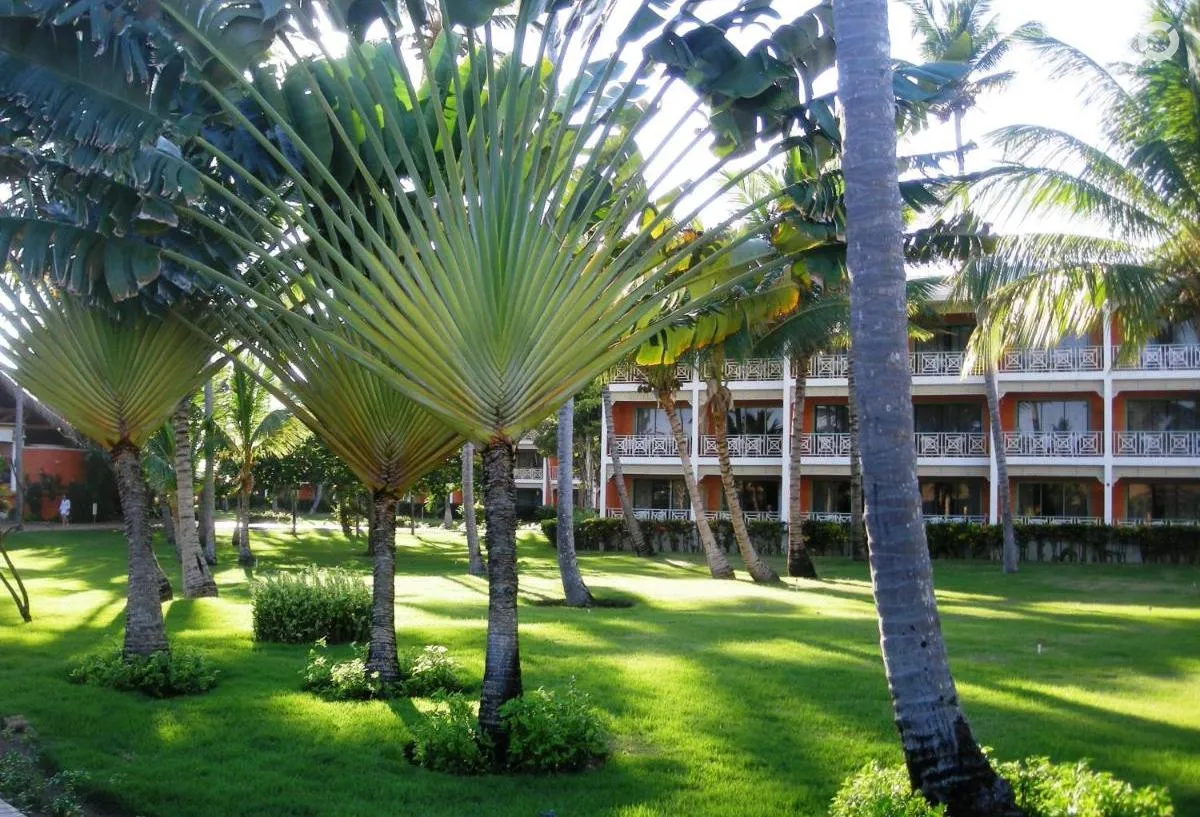 VIK Arena Blanca