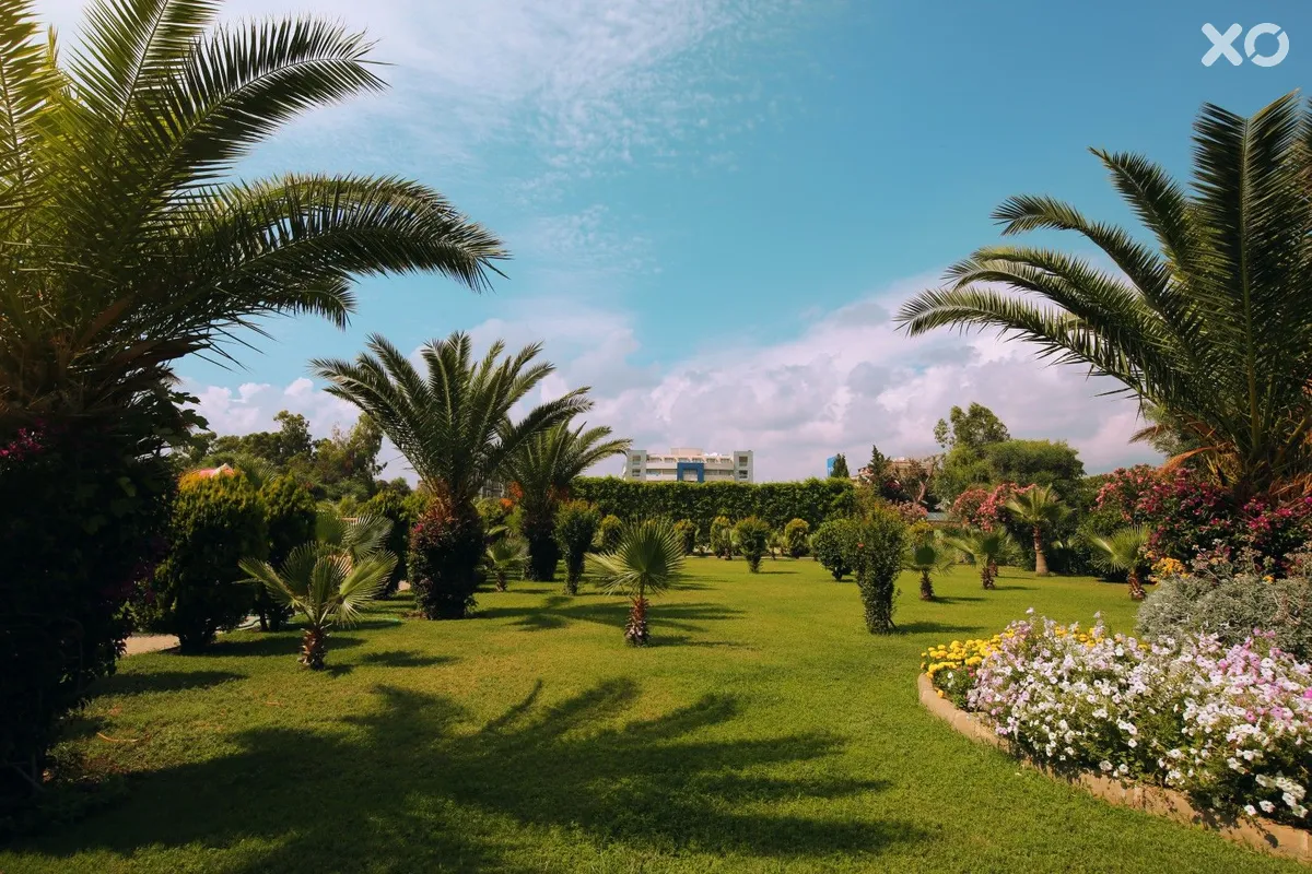 Timo Resort Hotel