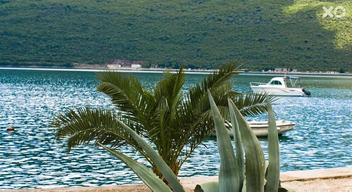 Milica Villa