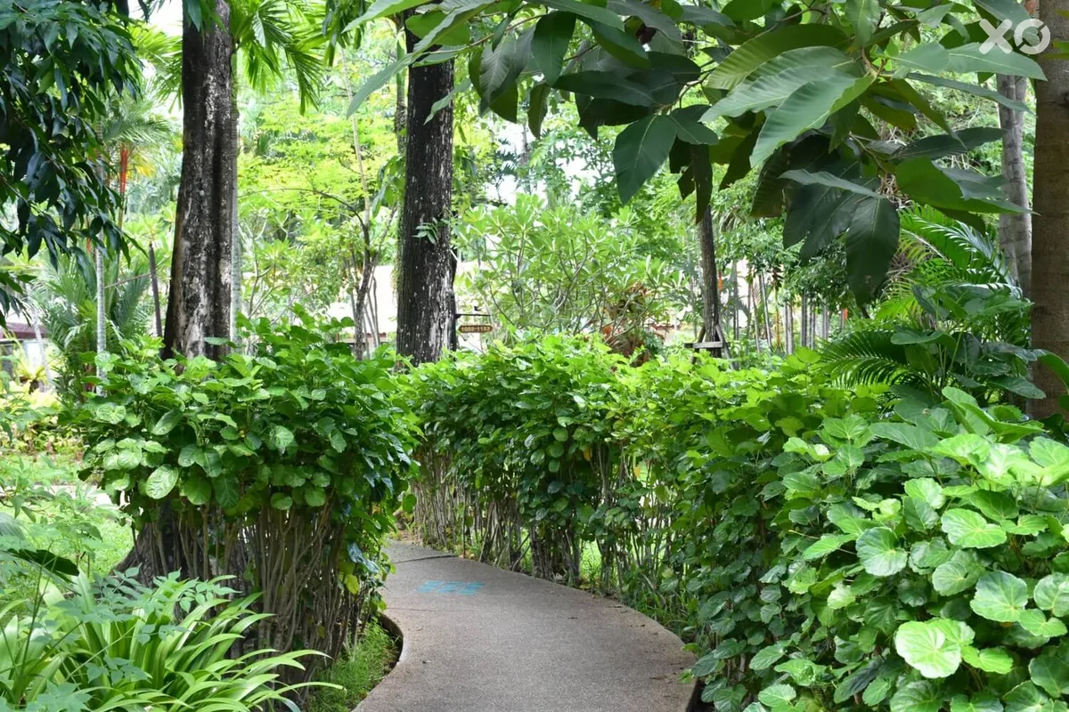 Deevana Patong Resort & Spa