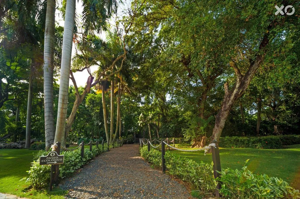 Grand Bavaro Princess