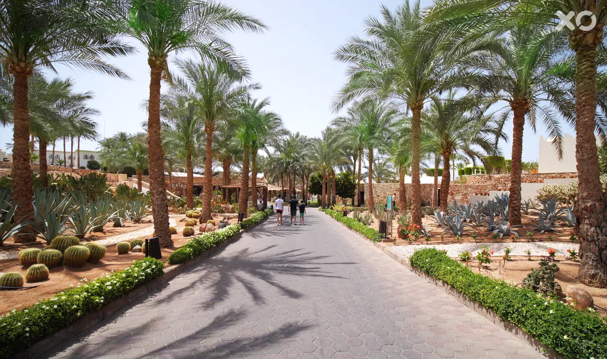 Reef Oasis Beach Resort