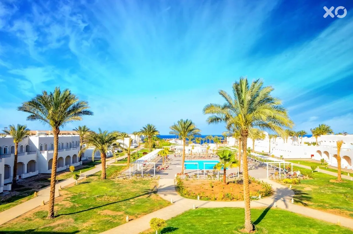 Solymar Reef Marsa