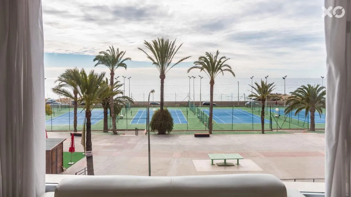 Albahia Alicante