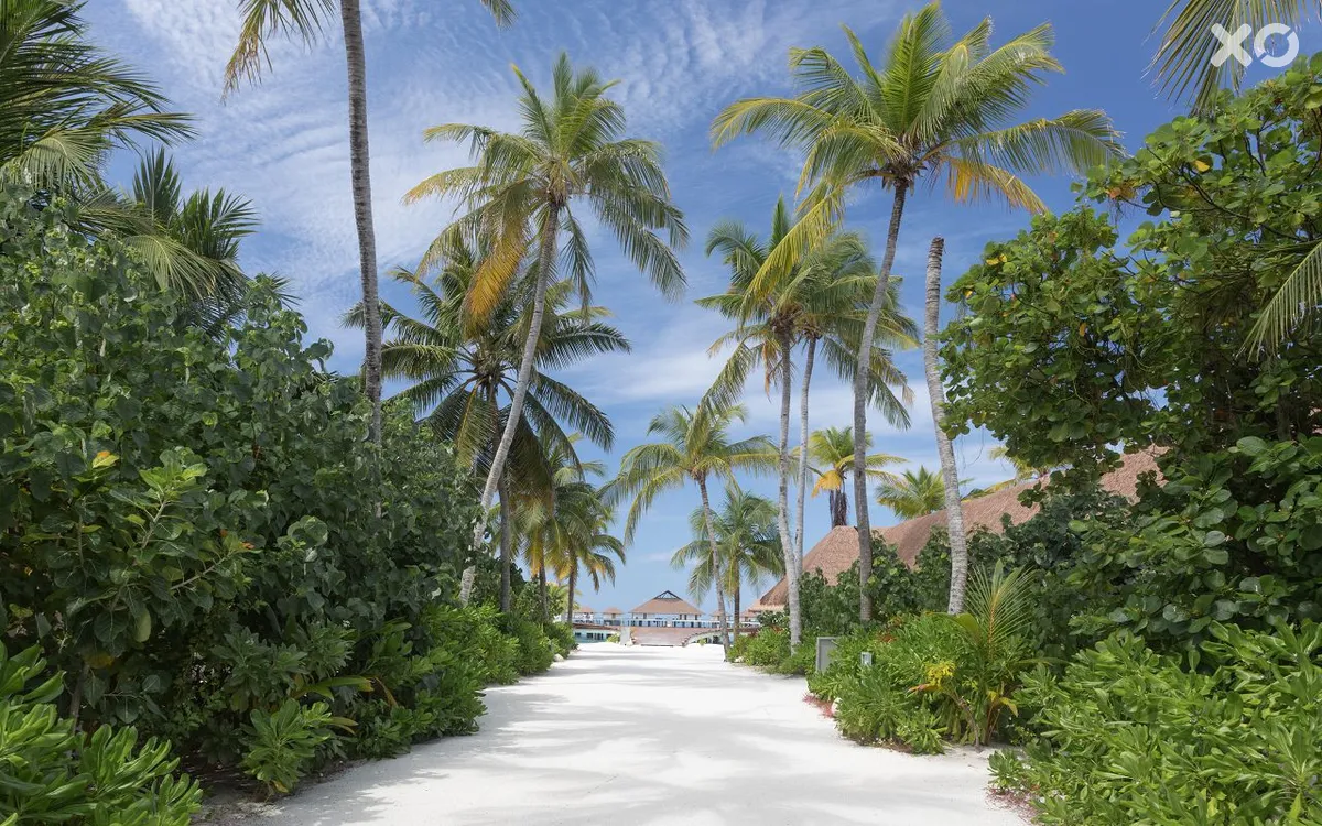 Cinnamon Velifushi Maldives