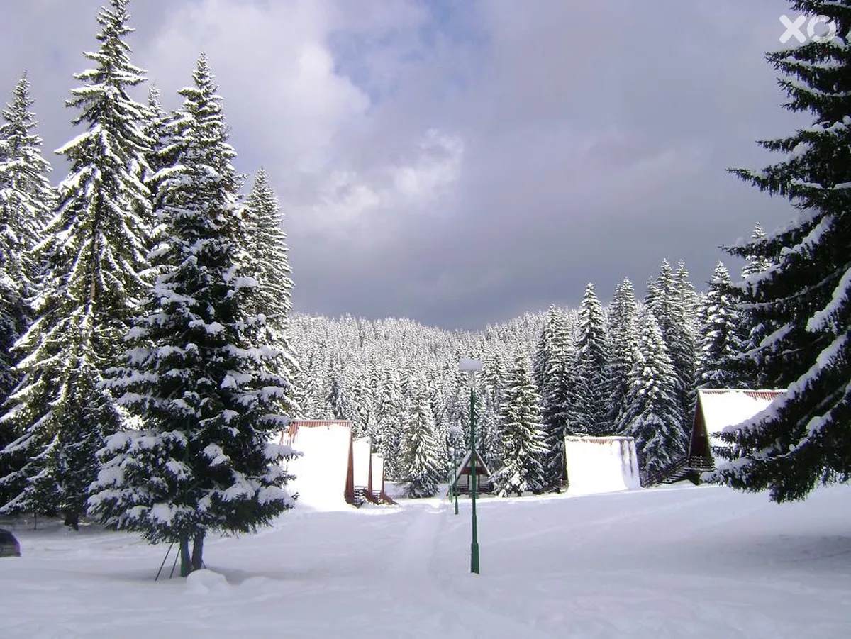 The Malina Villas
