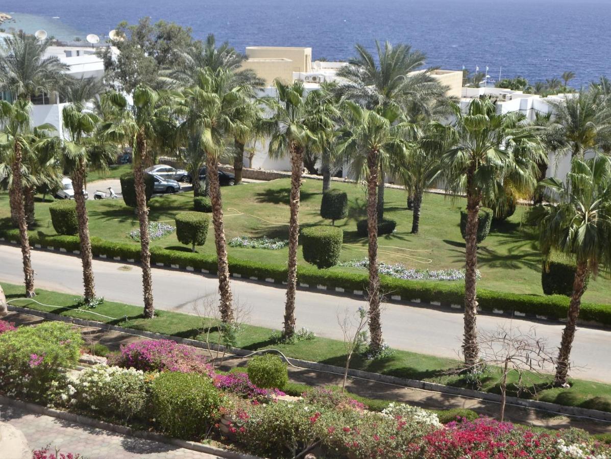 Queen Sharm Resort