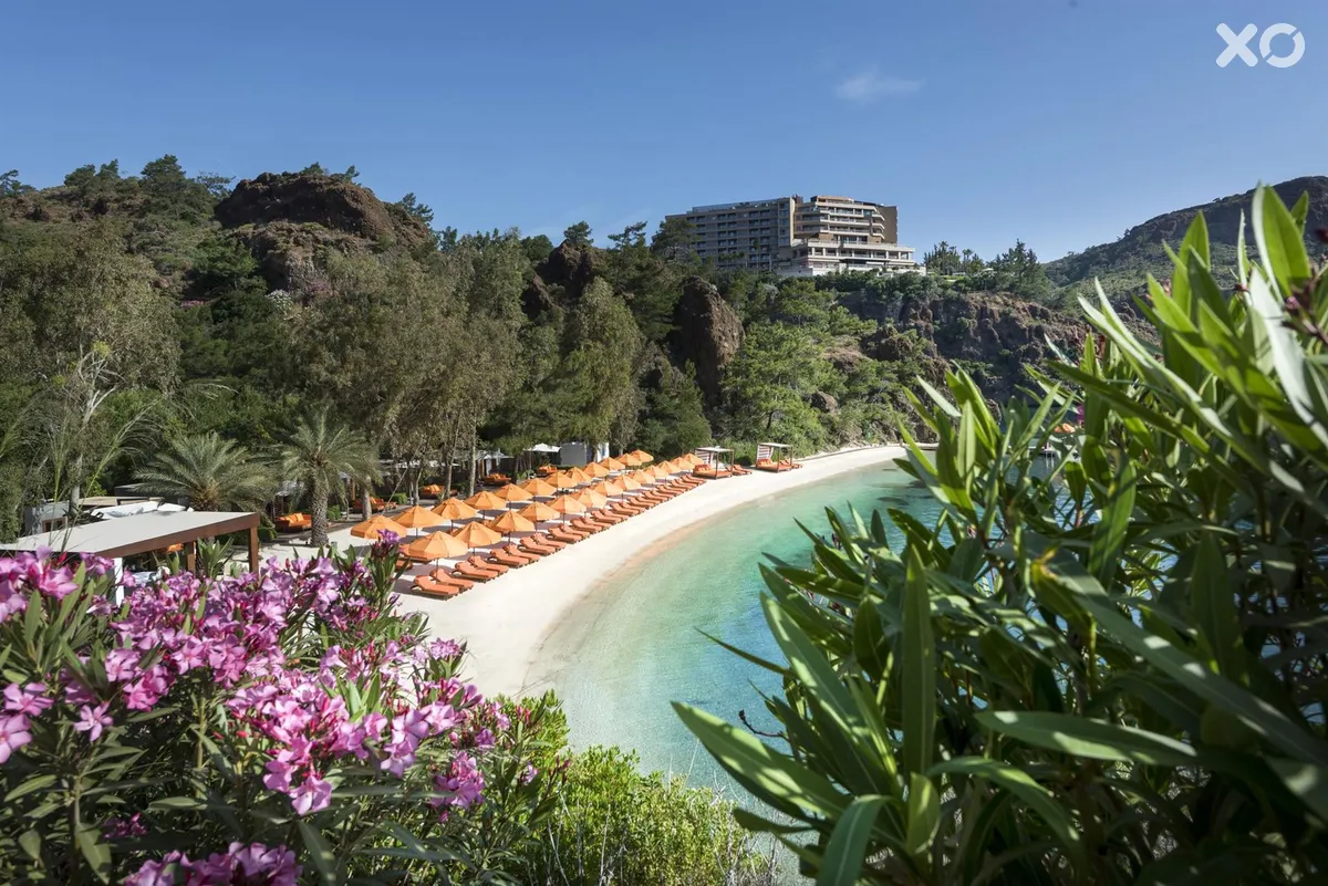 D Maris Bay