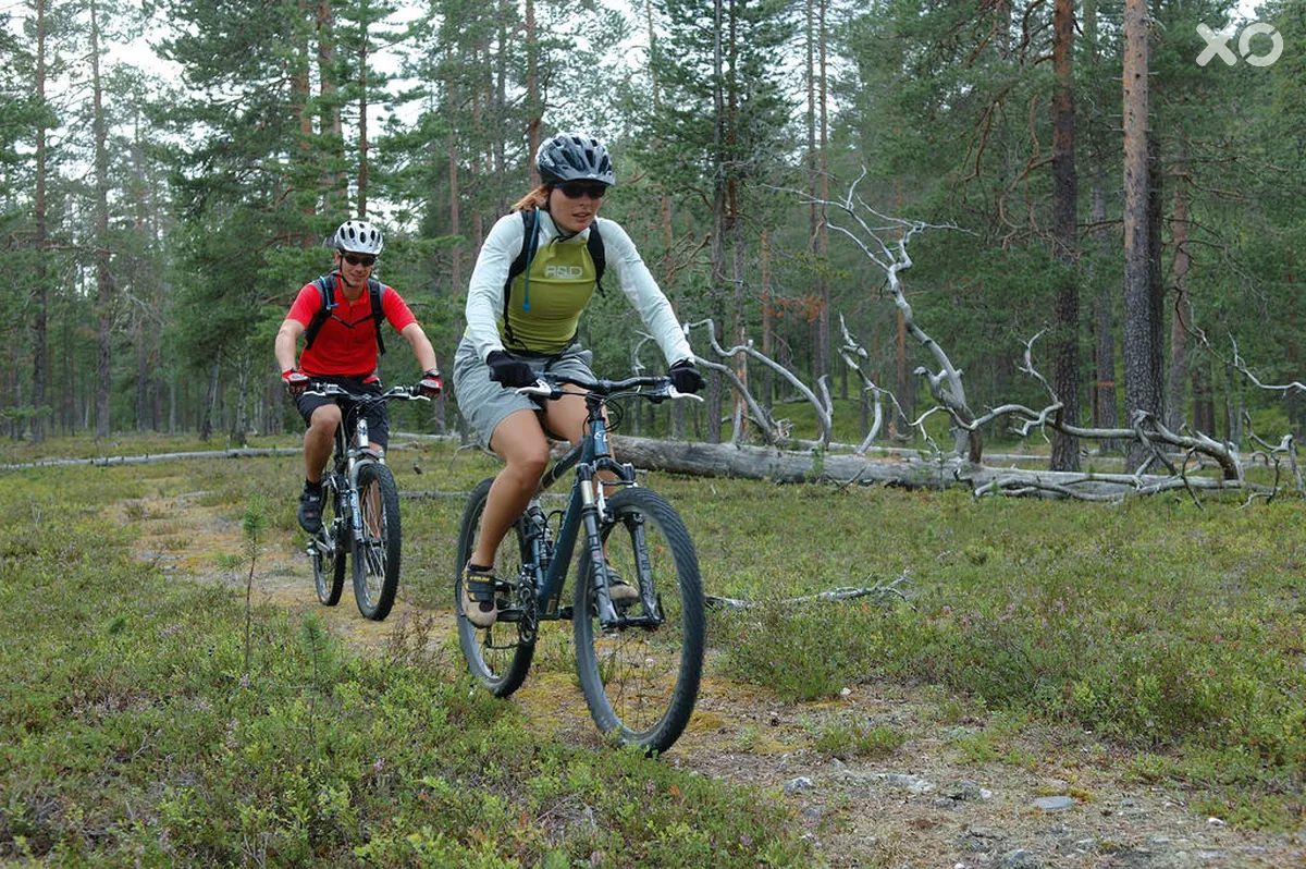 Lapland Hotels Luostotunturi