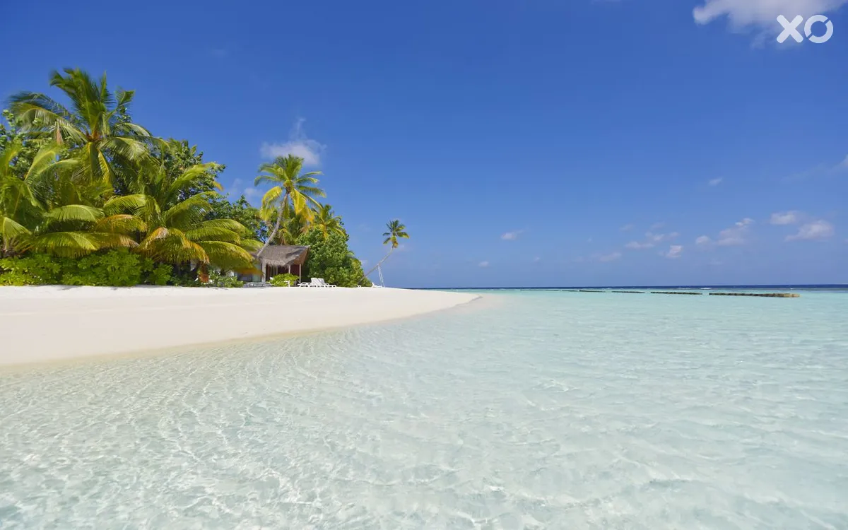 Safari Island Resort & Spa