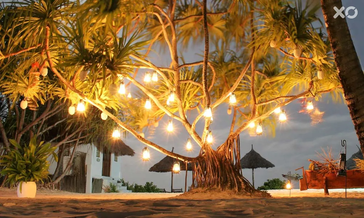 Mchanga Zanzibar