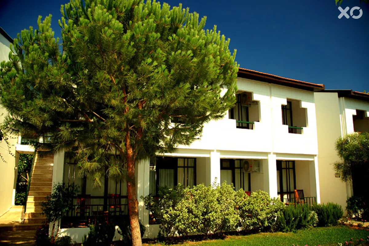 Dora Club Asa Beach