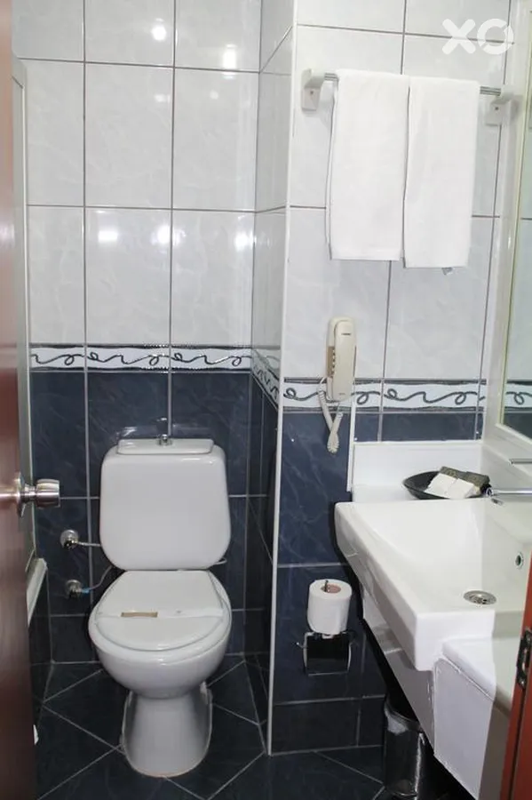 Buyuk Sahinler Hotel