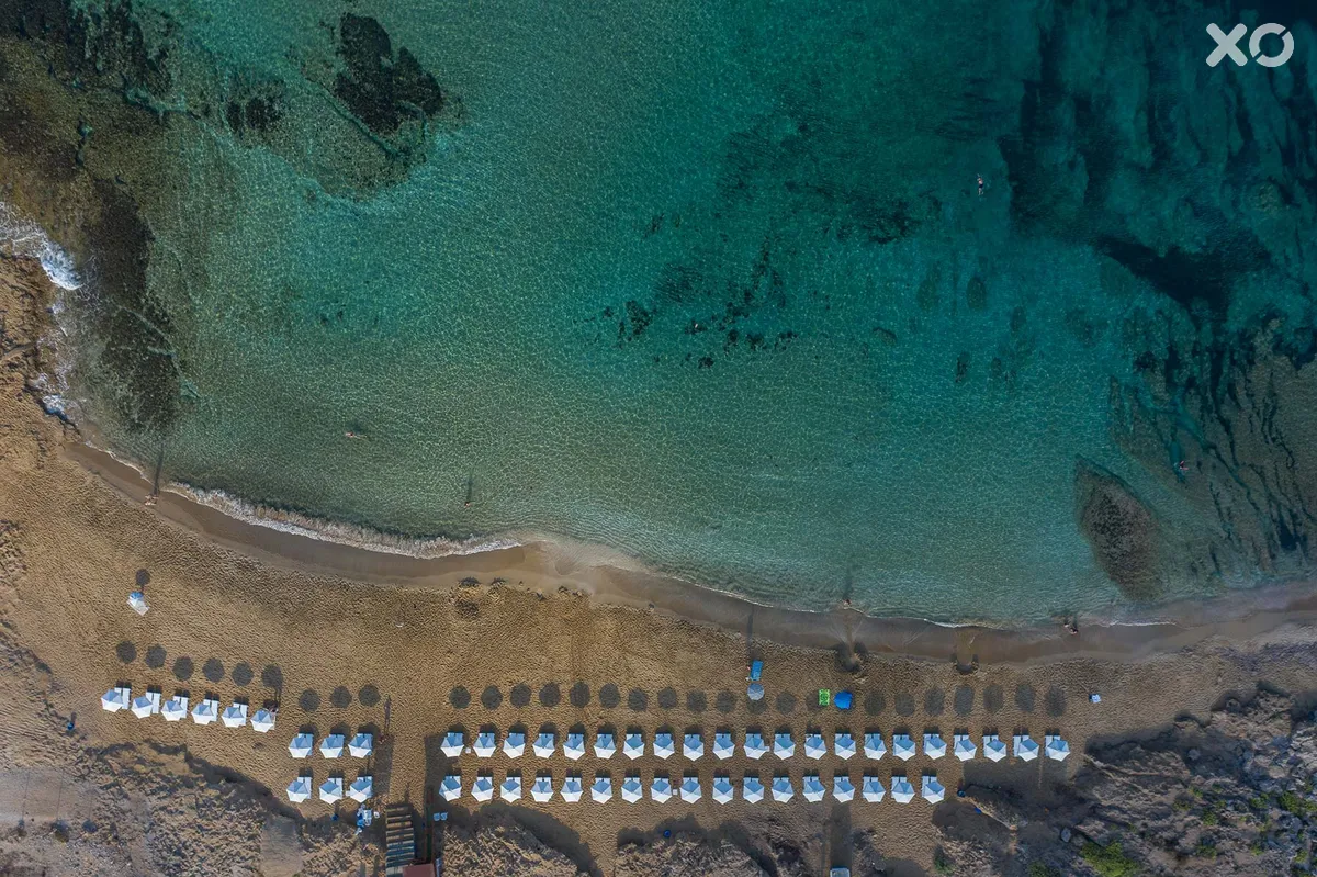 Venus Beach Hotel