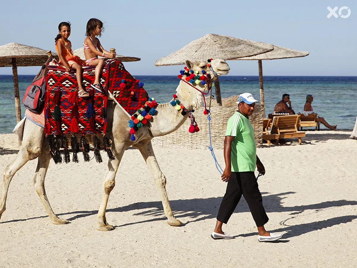 The Three Corners Fayrouz Plaza Beach Resort