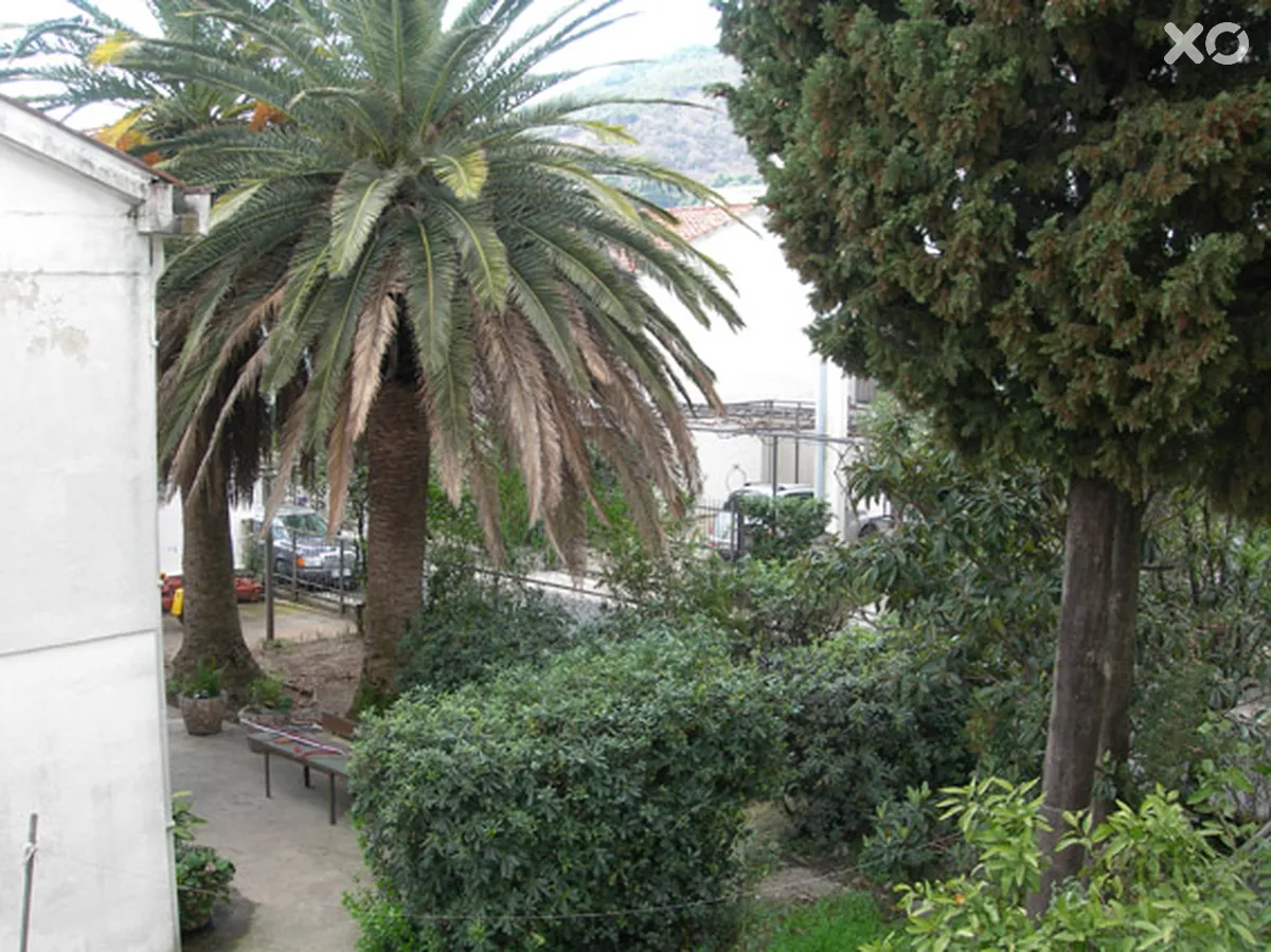 Franeta Villa
