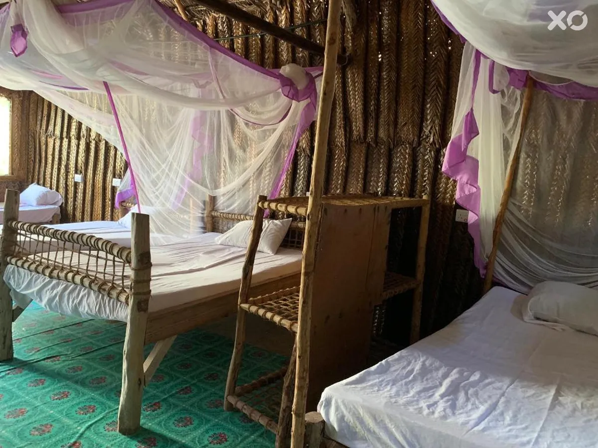 New Jambo Bungalows