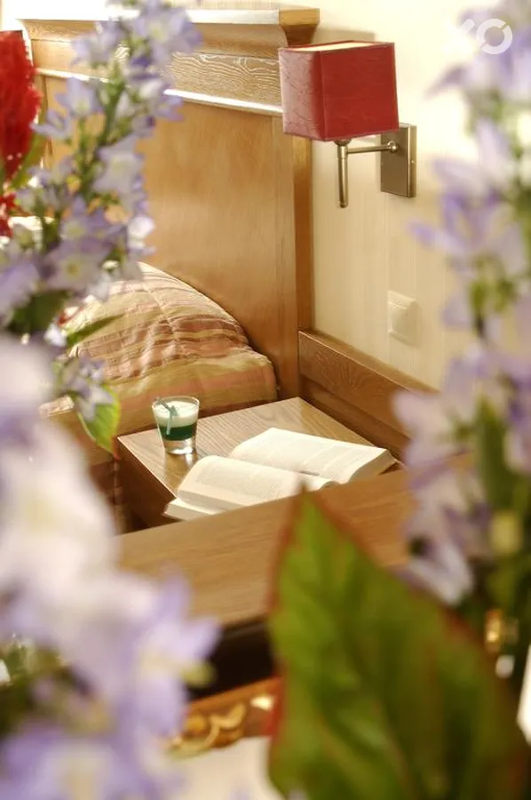 Ideon Hotel