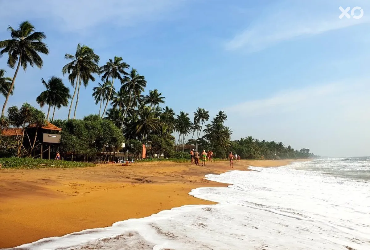Tangerine Beach Hotel