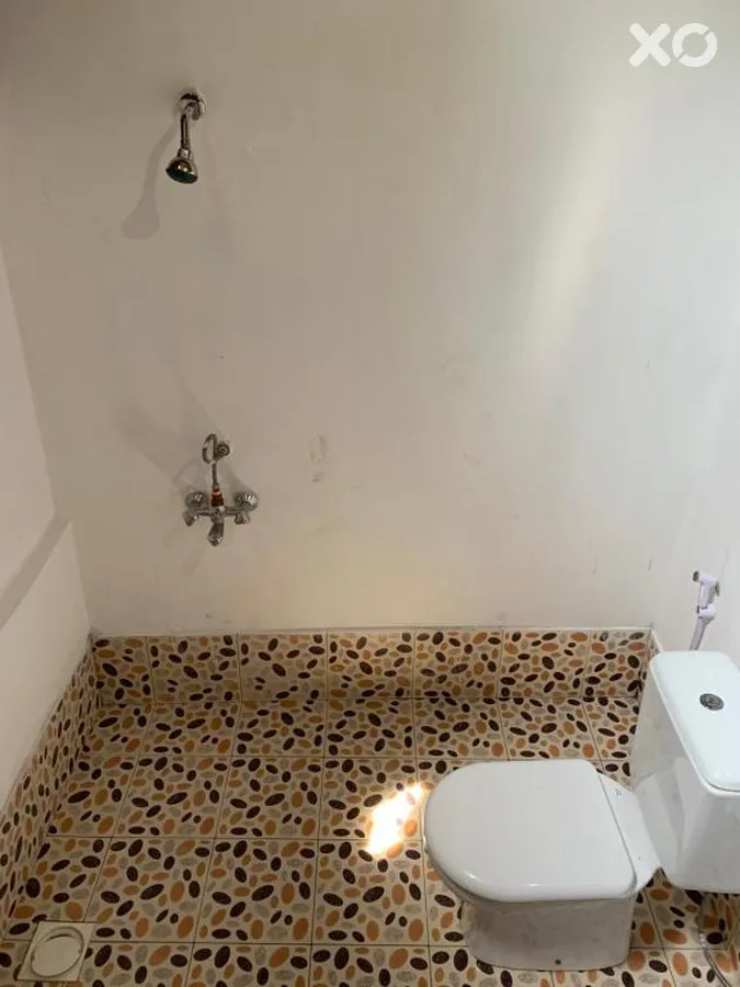 New Jambo Bungalows
